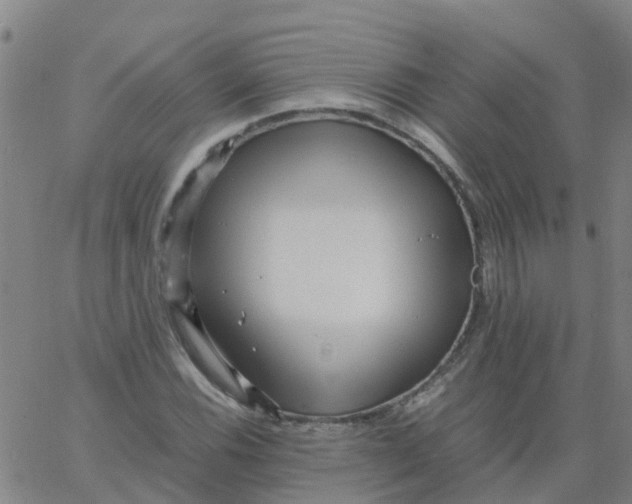 X0000066101116200603312018