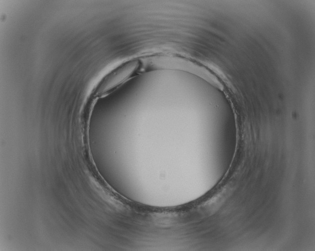 X0000066101118200603312018