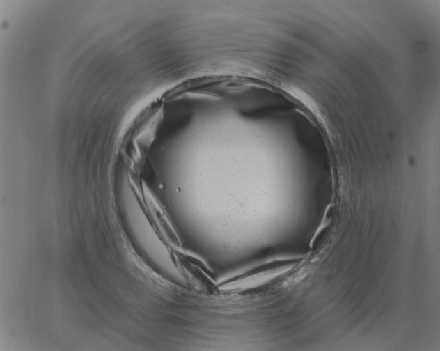 X0000066101120200603312018