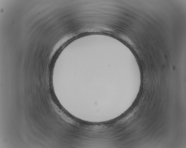 X0000066101122200603312018