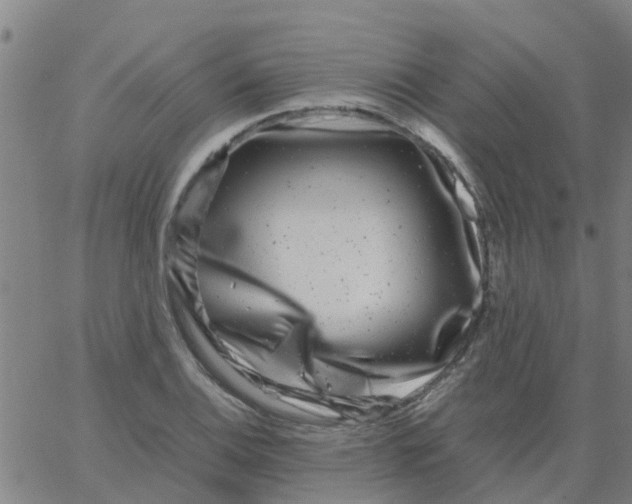 X0000066101124200603312018