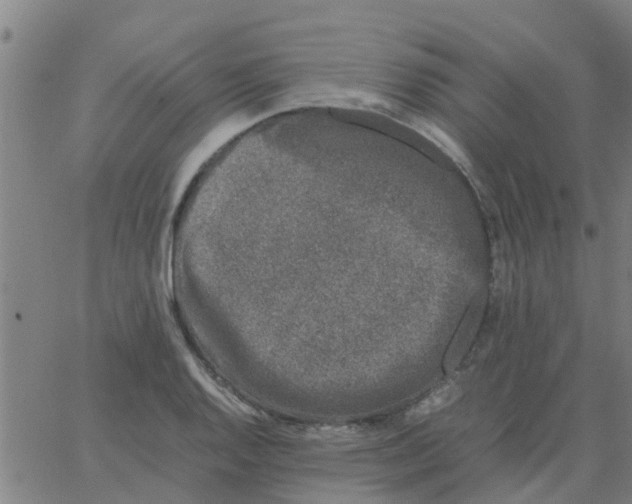 X0000066101128200603312018