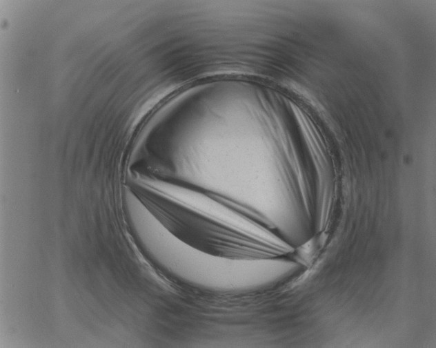 X0000066101129200603312018