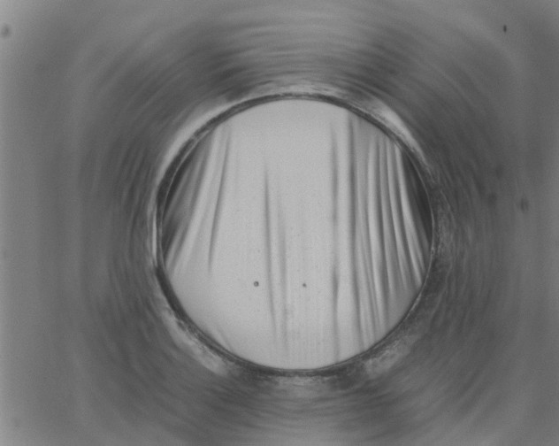 X0000066101132200603312018