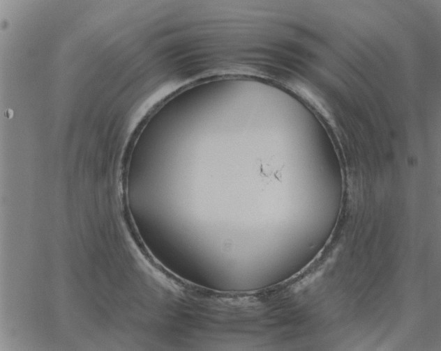 X0000066101133200603312018