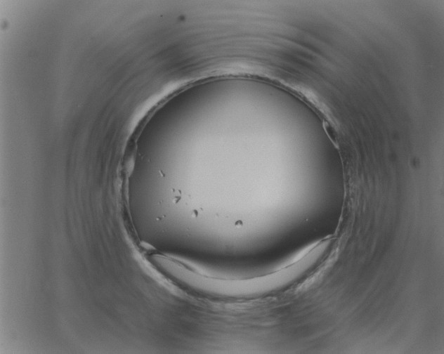 X0000066101134200603312018