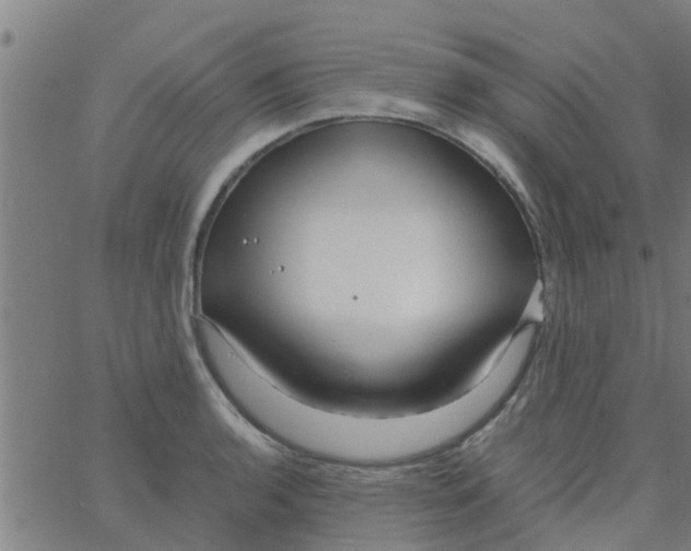 X0000066101136200603312018