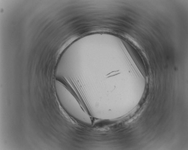 X0000066101137200603312018