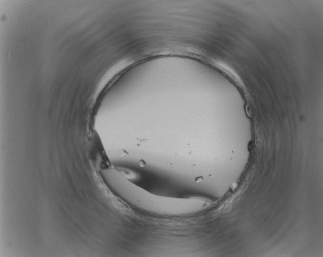 X0000066101138200603312018