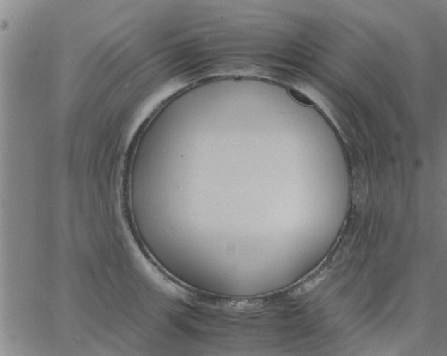 X0000066101139200603312018