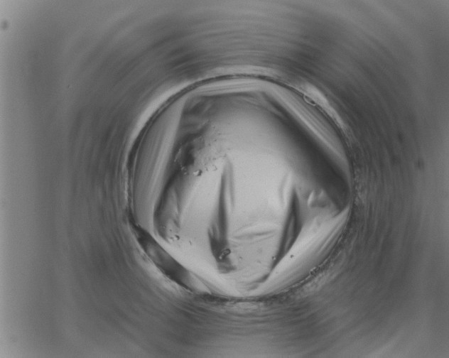 X0000066101140200603312018