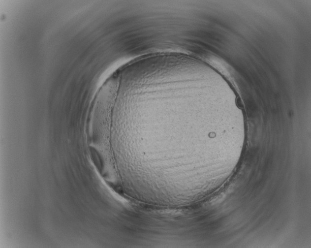 X0000066101141200603312018