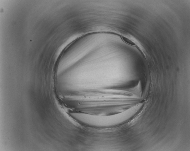 X0000066101142200603312018