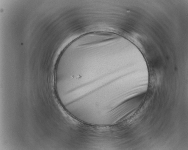 X0000066101144200603312018