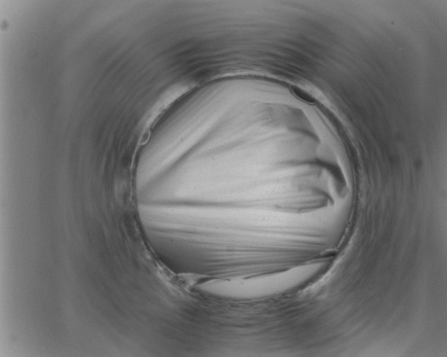 X0000066101145200603312019