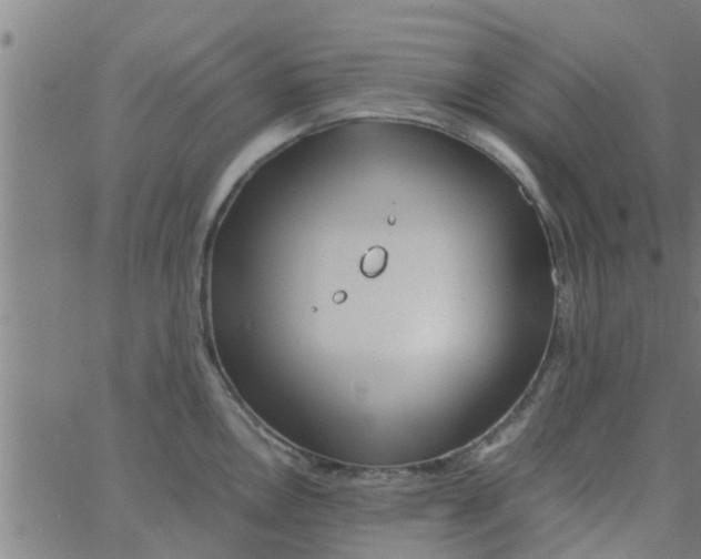 X0000066101146200603312019