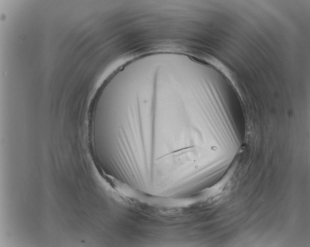 X0000066101147200603312019