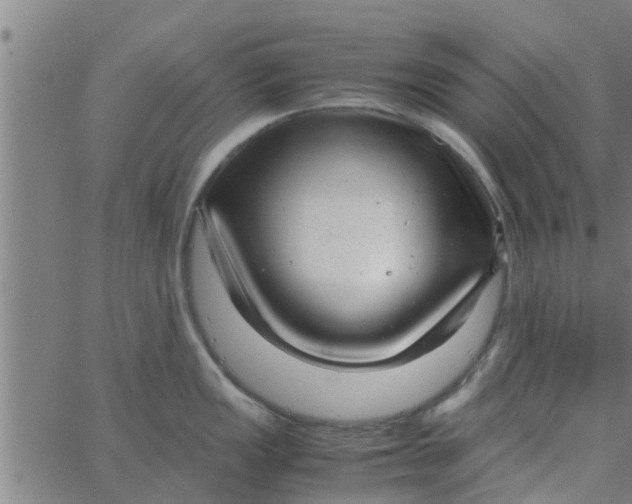 X0000066101149200603312019