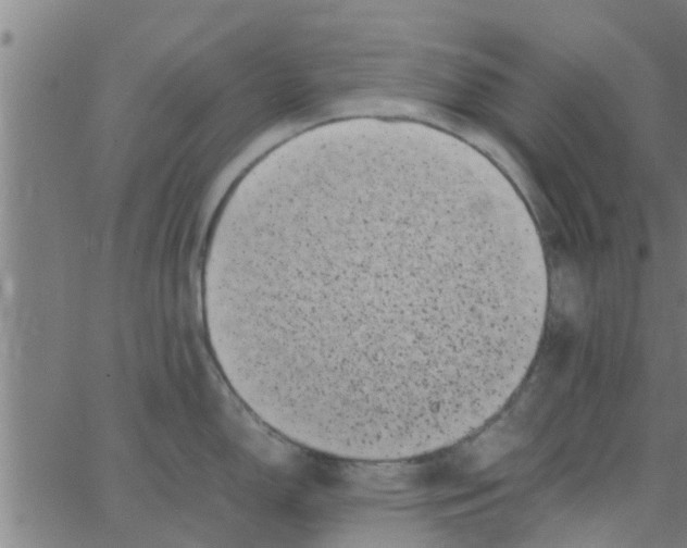 X0000066101150200603312019