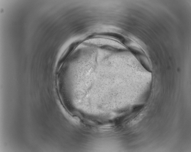 X0000066101152200603312019