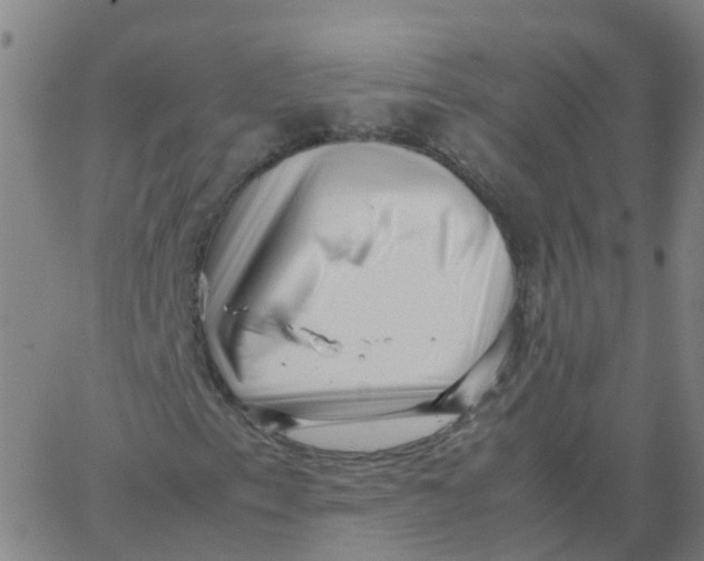 X0000066101153200603312018