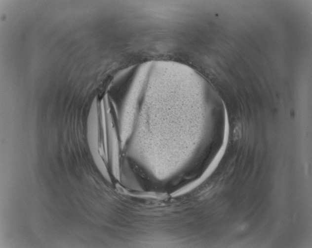 X0000066101156200603312018