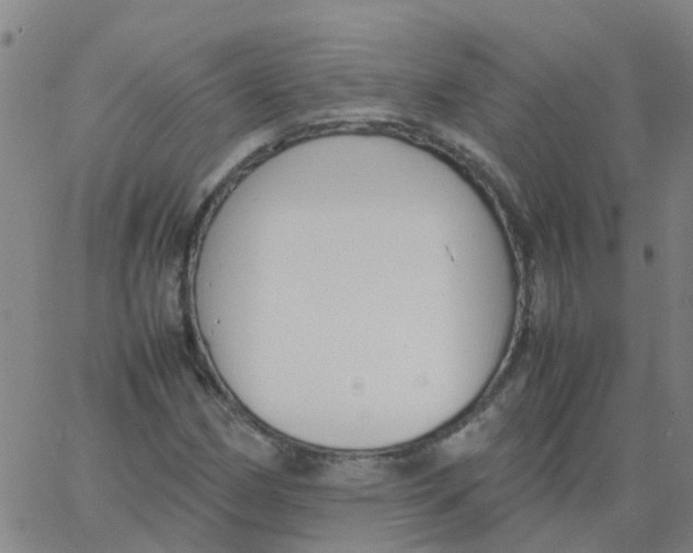 X0000066101162200603312018