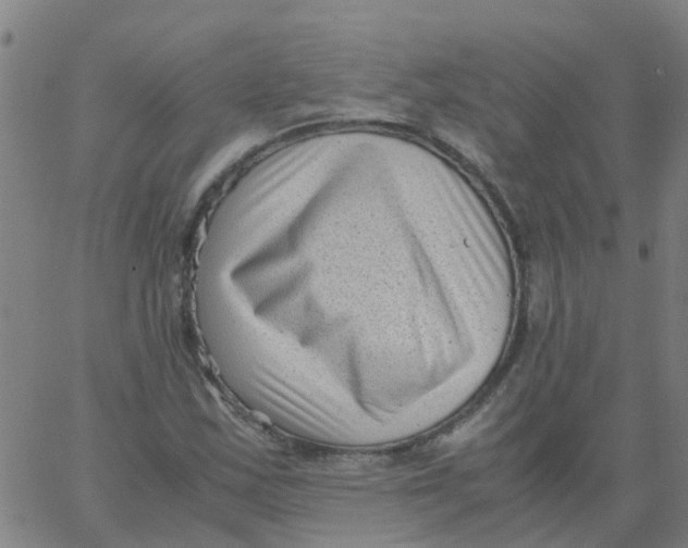 X0000066101163200603312018