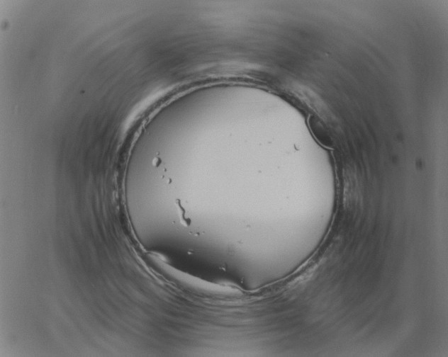 X0000066101164200603312018