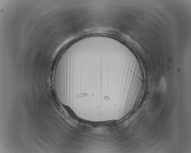 X0000066101166200603312018