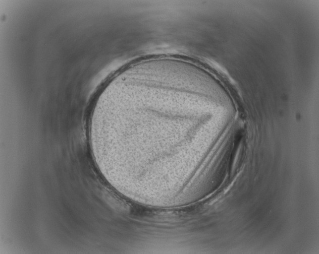 X0000066101167200603312018