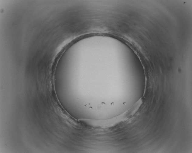 X0000066101168200603312018