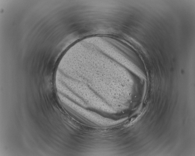 X0000066101170200603312018