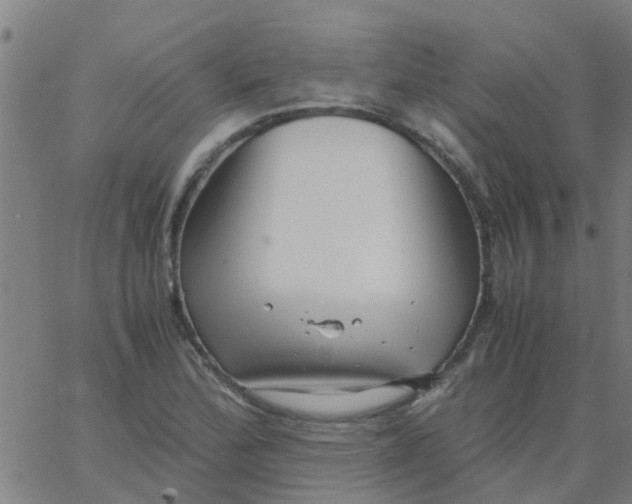 X0000066101172200603312018