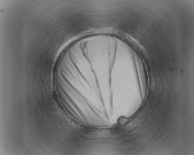 X0000066101174200603312018