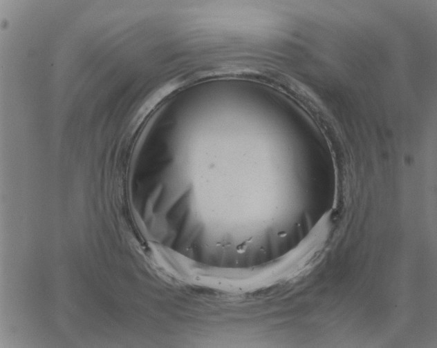 X0000066101177200603312017