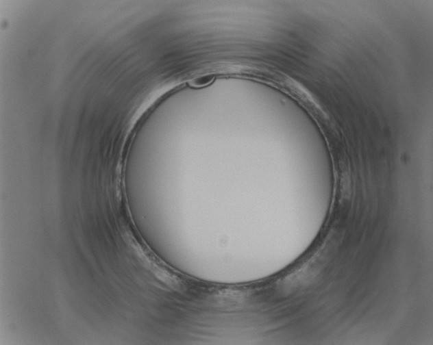 X0000066101178200603312017