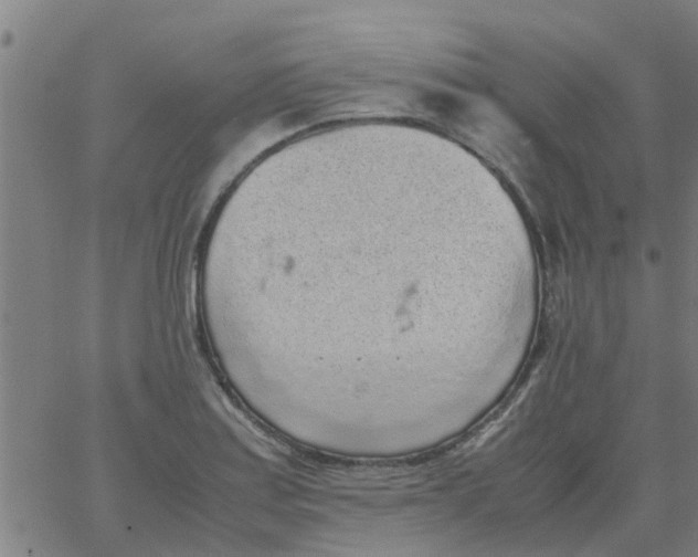 X0000066101179200603312017