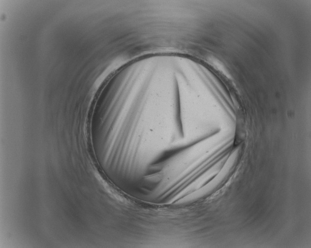 X0000066101181200603312017