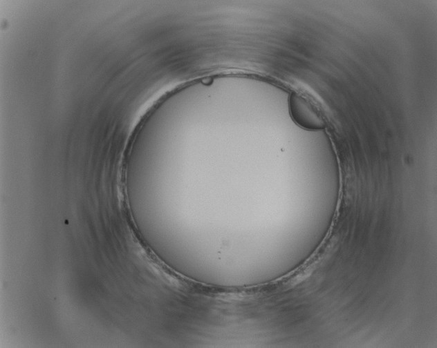 X0000066101182200603312017