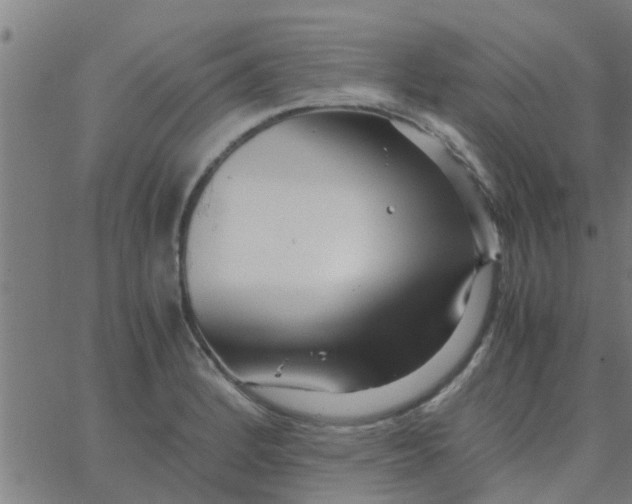 X0000066101184200603312017