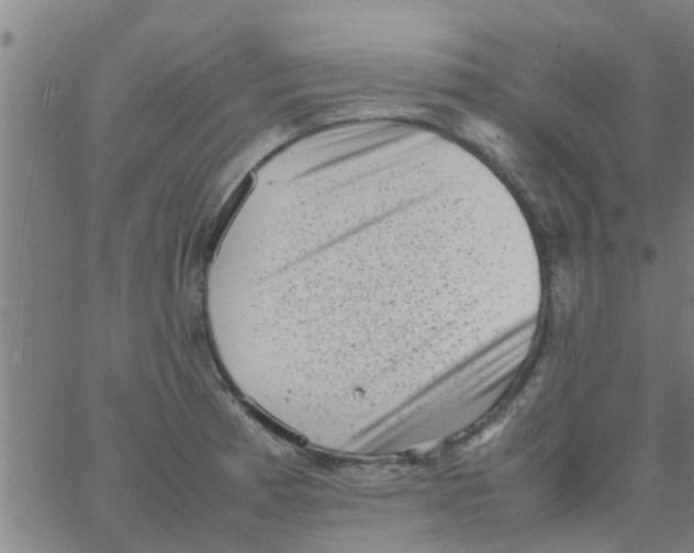 X0000066101185200603312017