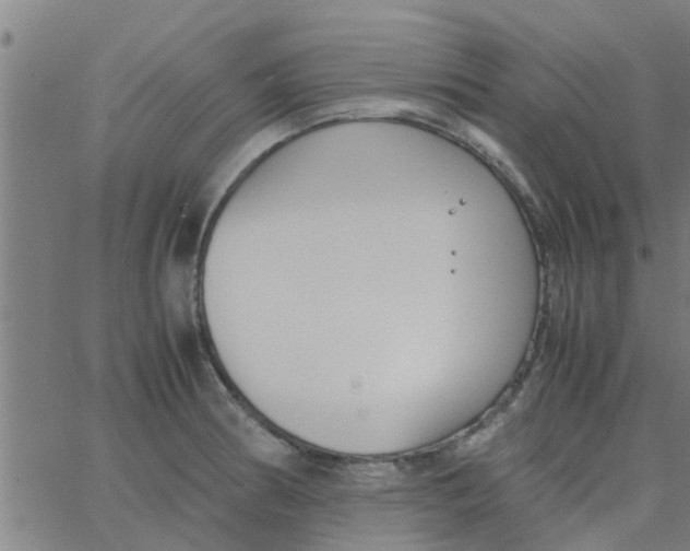 X0000066101186200603312017