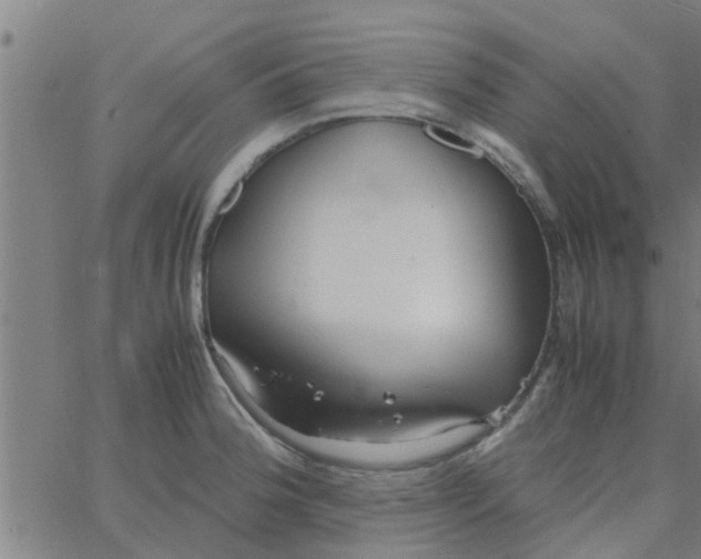 X0000066101188200603312017