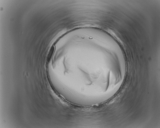 X0000066101189200603312017