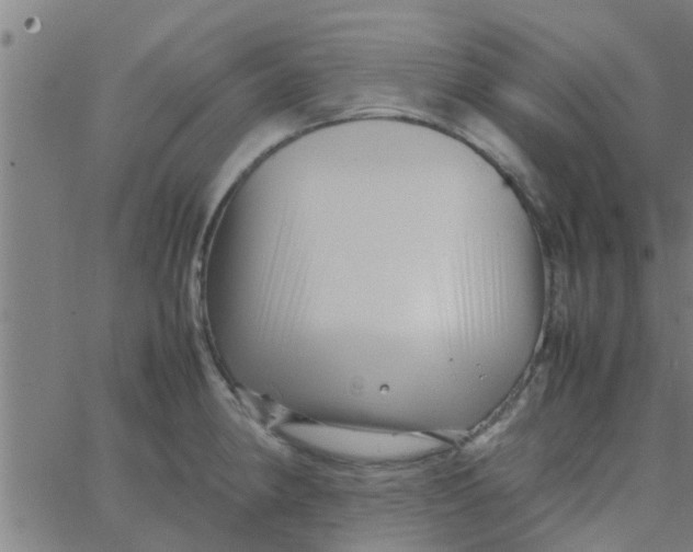 X0000066101190200603312017