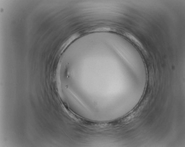 X0000066101193200603312017