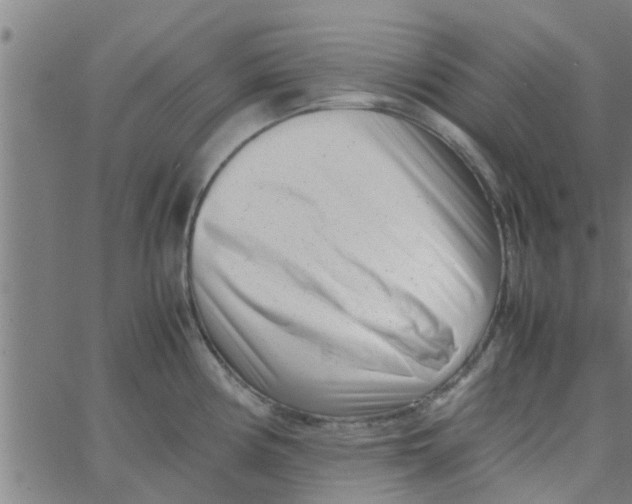 X0000066101194200603312017