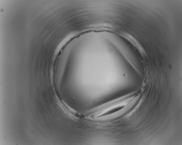 X0000066101196200603312017