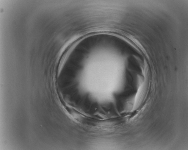 X0000066101197200603312017